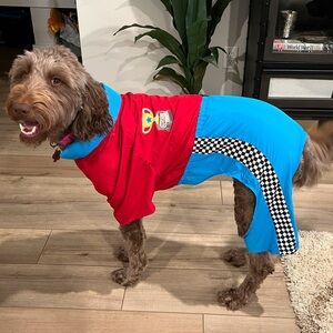 Race Car Driver Dog Halloween Costume